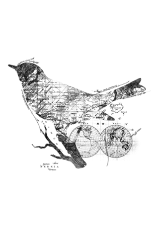 Bird Wanderlust Black and White