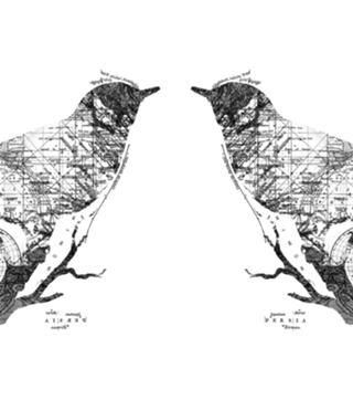 Bird Wanderlust Black and White
