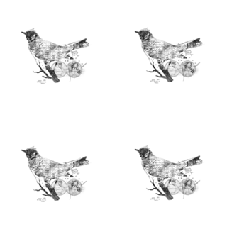 Bird Wanderlust Black and White