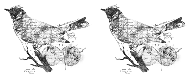 Bird Wanderlust Black and White
