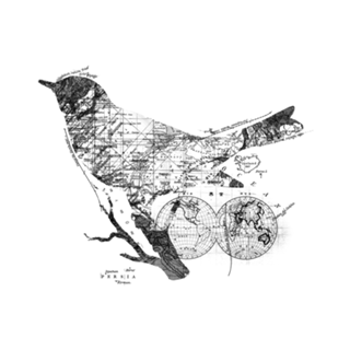 Bird Wanderlust Black and White