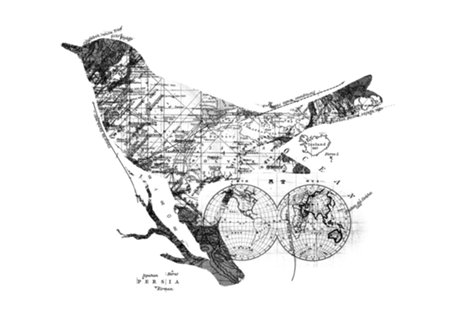 Bird Wanderlust Black and White