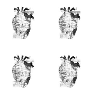 Heart Wanderlust Black and White
