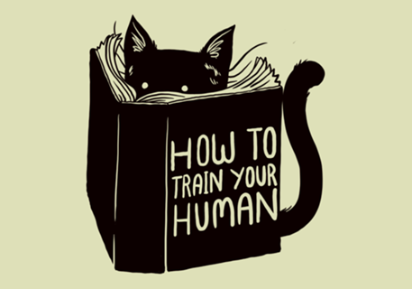 How To Train Your Human