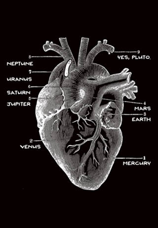 Solar Vascular System