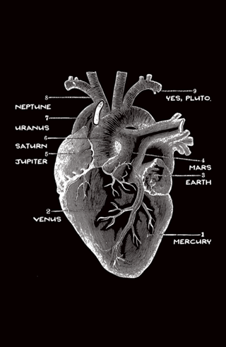 Solar Vascular System