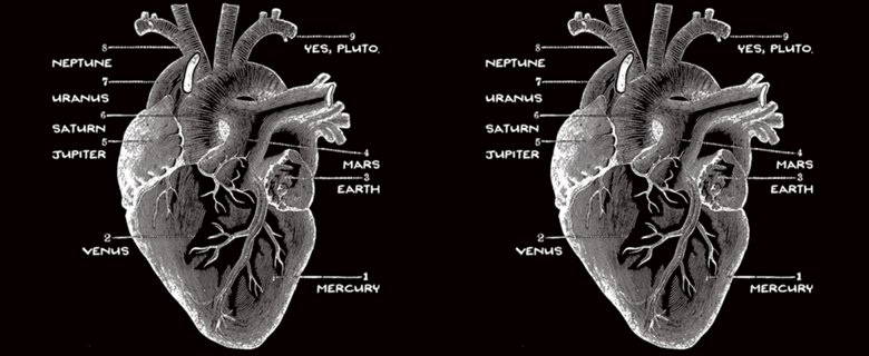 Solar Vascular System
