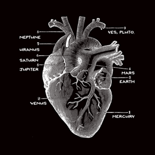 Solar Vascular System