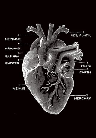 Solar Vascular System