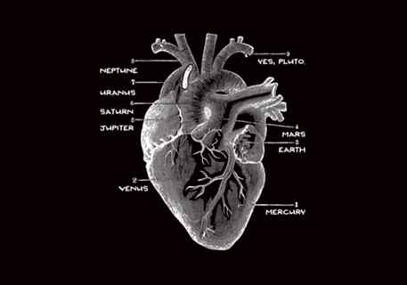Solar Vascular System