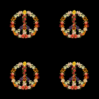 Flower Power