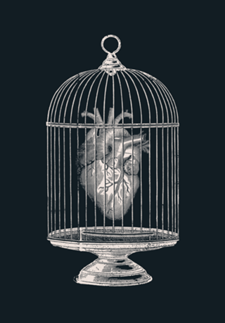 Free My Heart