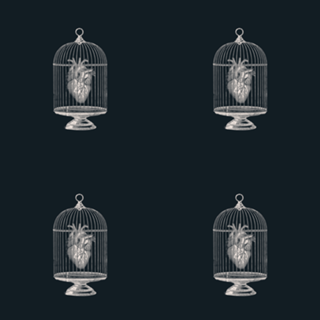 Free My Heart