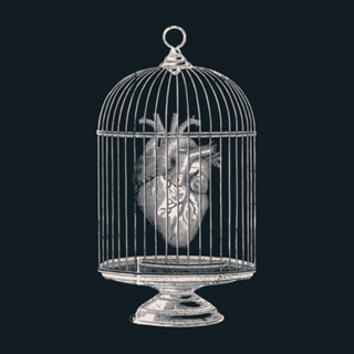 Free My Heart
