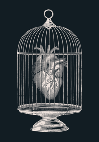 Free My Heart