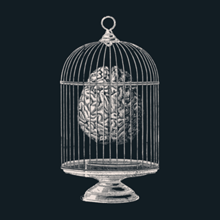 Free My Mind