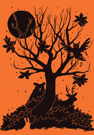 Autumn Forest