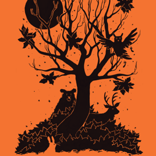 Autumn Forest
