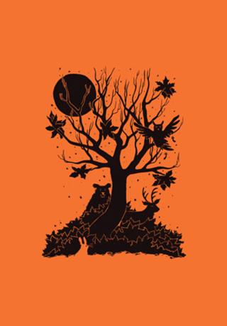 Autumn Forest