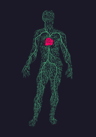 Spring Heart