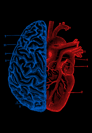 Heart and Brain