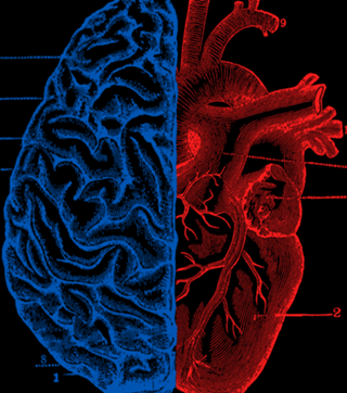 Heart and Brain