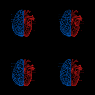 Heart and Brain