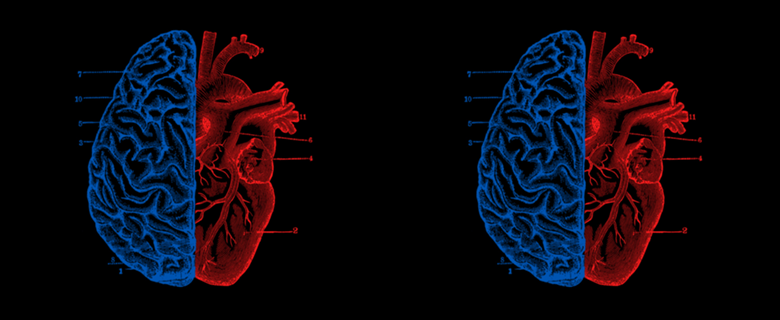 Heart and Brain