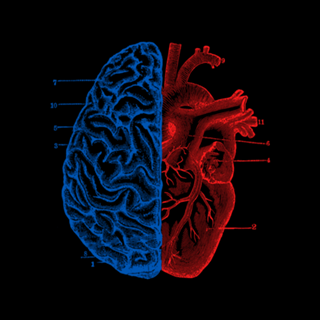Heart and Brain