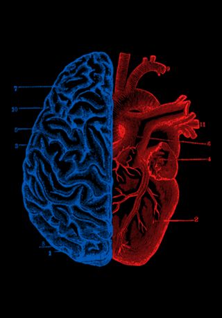 Heart and Brain