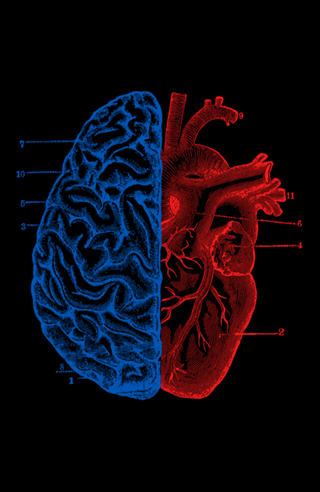 Heart and Brain