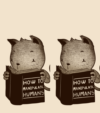 Cat Book How To Manipulate Humans