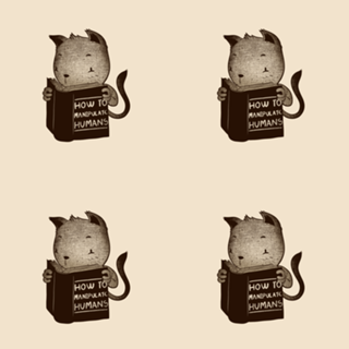 Cat Book How To Manipulate Humans