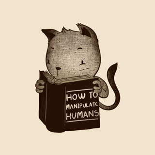 Cat Book How To Manipulate Humans