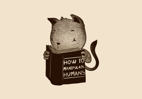 Cat Book How To Manipulate Humans