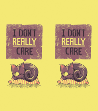 I Don't Care Cat