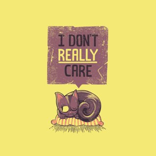 I Don't Care Cat
