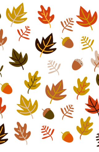 Autumn Colours
