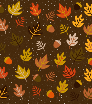 Autumn Colours