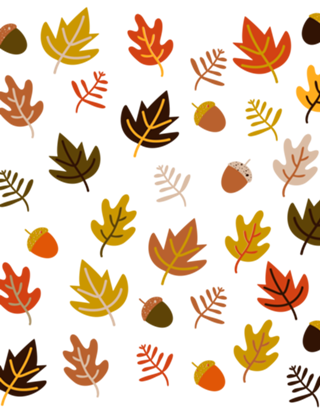Autumn Colours