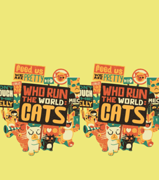 Who Run The World Cats