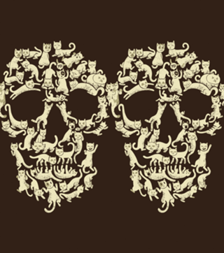CatSkull