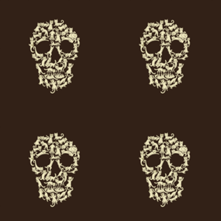 CatSkull