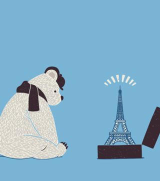 Traveler Tourist Eiffel Tower Bear Paris