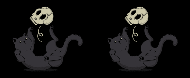 Skull Black Cat