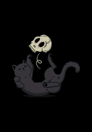 Skull Black Cat