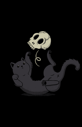 Skull Black Cat