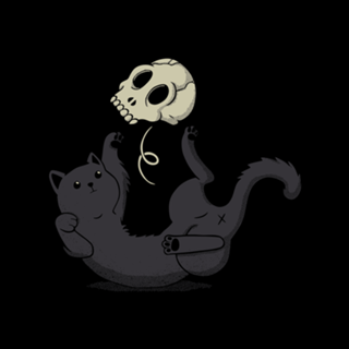 Skull Black Cat