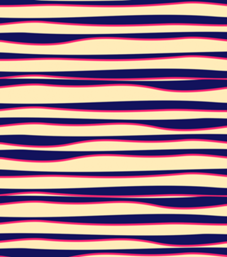 Funky Zebra