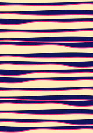 Funky Zebra